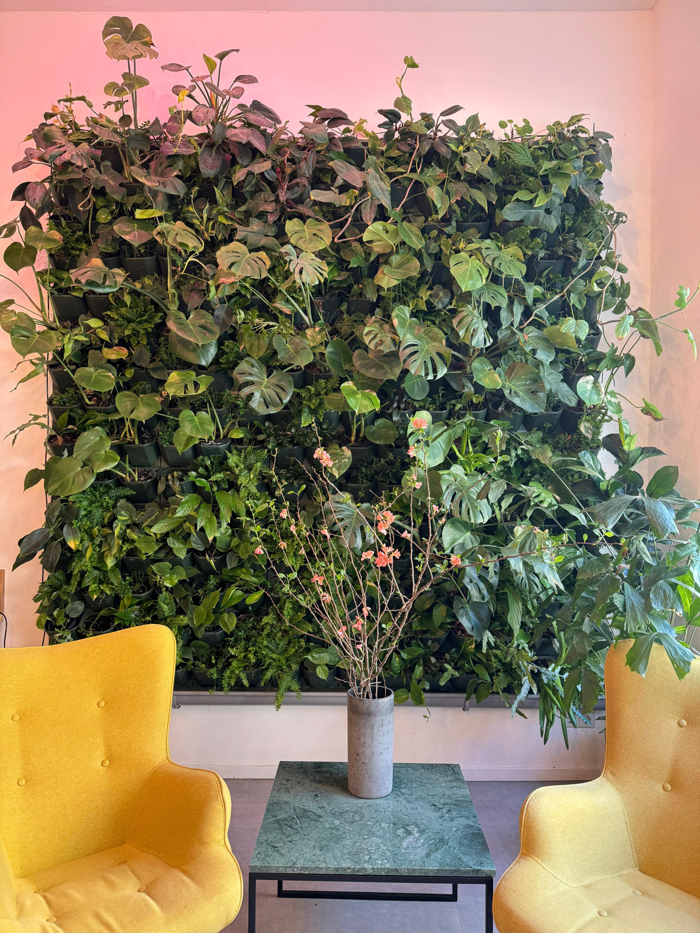 Câu hỏi thường gặp